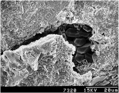 True triaxial physics simulations and process tests of hydraulic fracturing in the Da’anzhai section of the Sichuan Basin tight oil reservoir